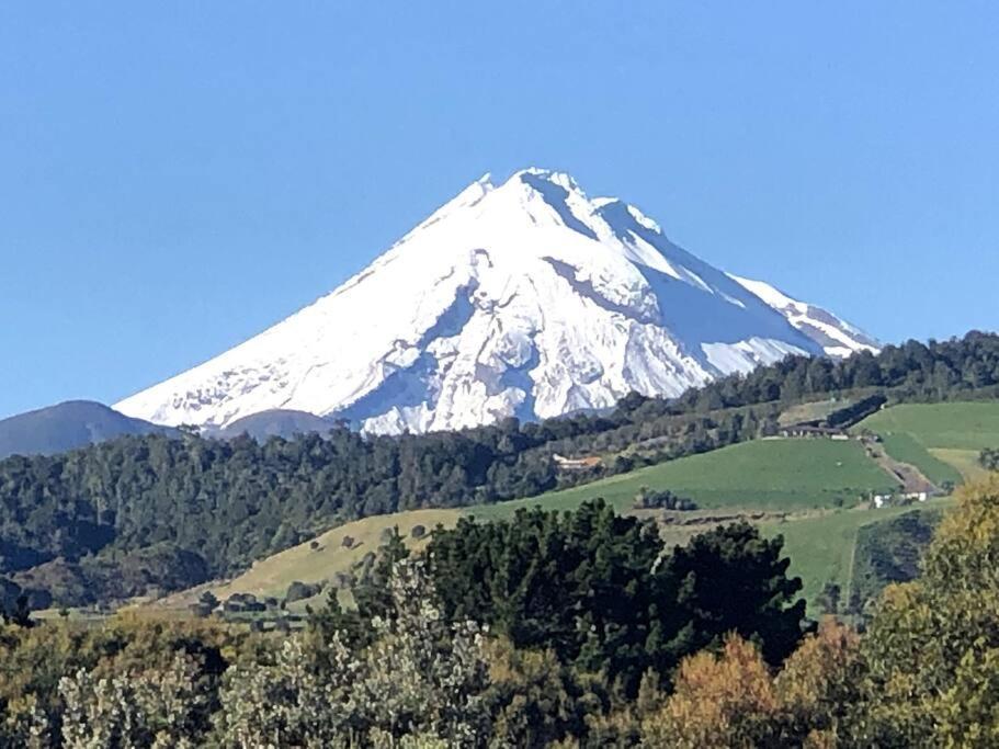 Oakura Pond Cottage - A Unique Kiwi Holiday Bach Dış mekan fotoğraf
